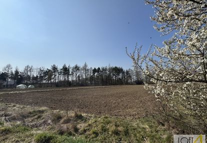 Działki z wz bobrowniki wielkie k/tarnowa