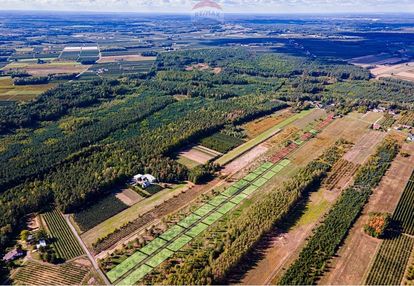 Działka budowlana - sprzedaż - józefów gm. pniewy