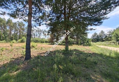 Działka przy lesie – natura, doskonała komunikacja