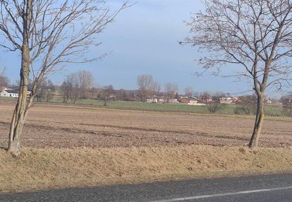 Działka 3,46ha, gomulin