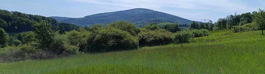 Urocza,  widokowa działka pod lasem