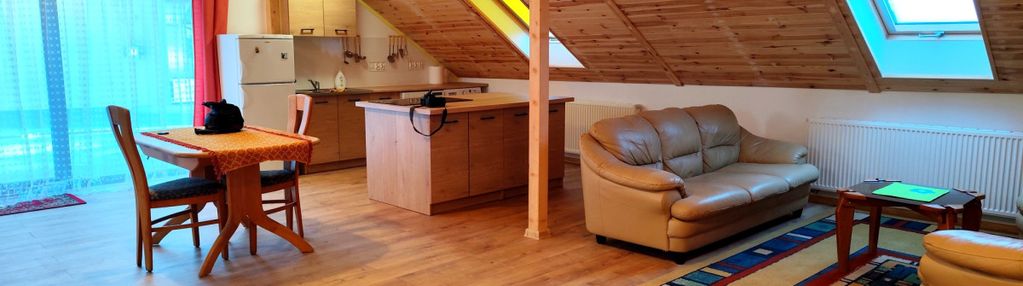 Dom | centrum | mieszkanie | lokale | taras |garaż