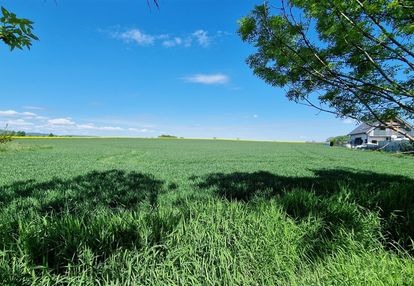 Urocza działka budowalna lutomia dolna