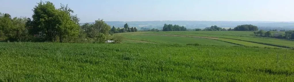 Widokowa działka 20km od Rzeszowa - Wiśniowa