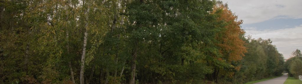 Działka 49ar w majdanie sieniawskim