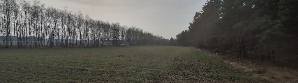 Dwie działki budowlane po 1000 m² w boroszkowie