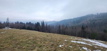 Wisła, 4000 mkw, domy, pensjonat, usługi