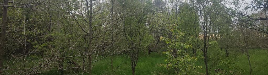 Górki duże tuszyn działki pod usługi mieszkania