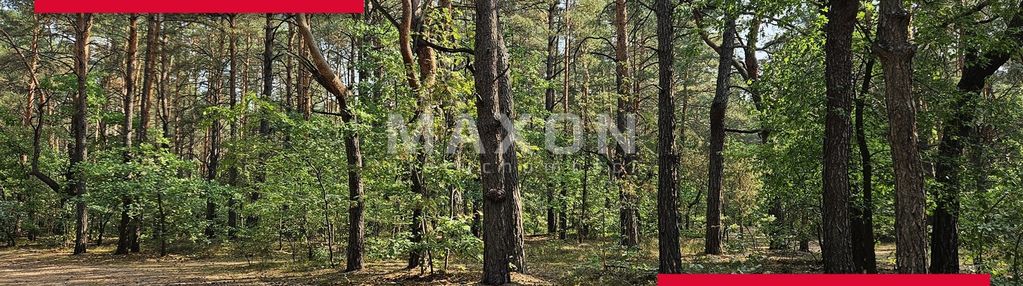 Działka bud-leśna ?????? w józefowie-michalinie