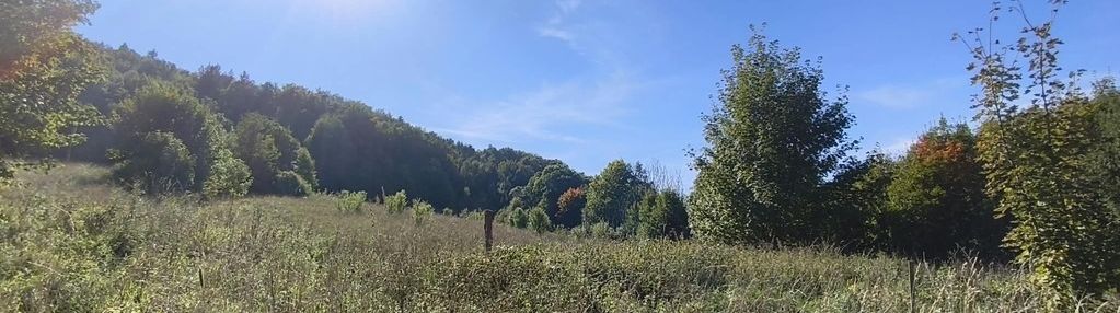 Działka rolno-leśna