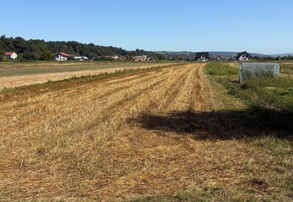 Podegrodzie działka 2700 m2 usługowa inwestycyjna