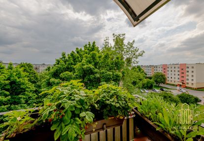 Trzy pokoje wiejska na sprzedaż