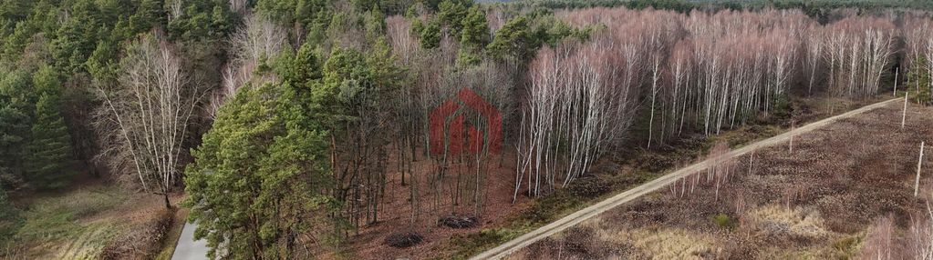 Działki budowlane przy lesie - czarna sędziszowska