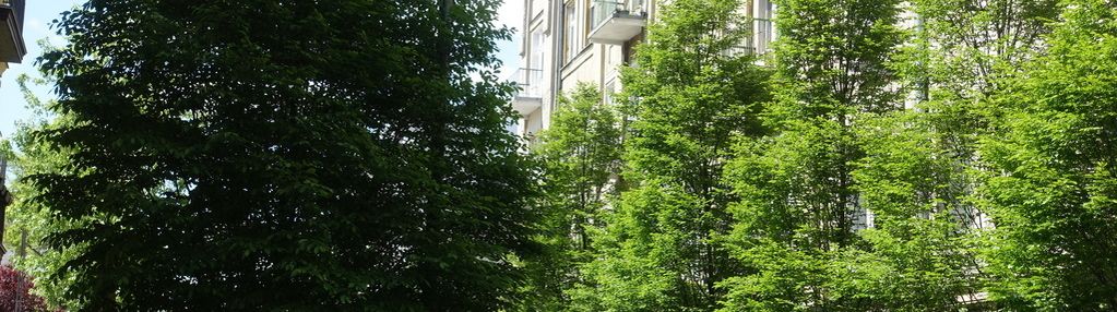 3-pokojowe mieszkanie na parterze