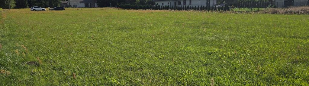 Oferta sprzedaży działki w gm. bełchatów