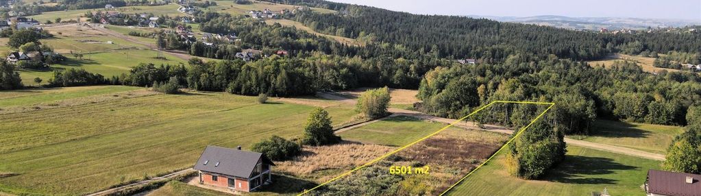 Ptaszkowa grybów działka bud.usługowa 6501 m2