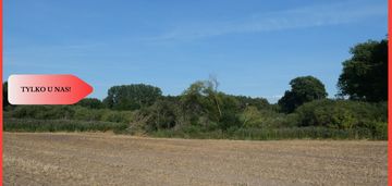 Działka blisko lasu i jeziora - tylko u nas