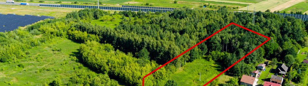 Działka rolno-budowlana w bielczy-gmina borzęcin!