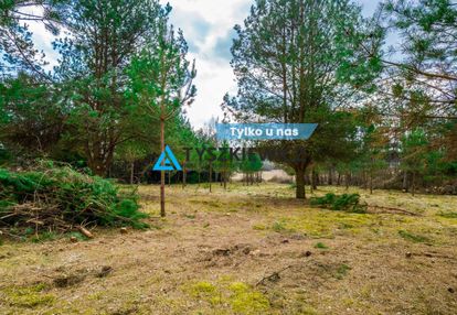 Działka budowlana w bezpośrednim sąsiedztwie lasu!