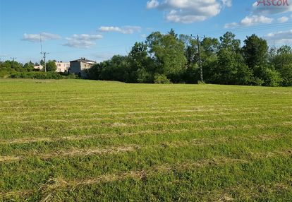 Mysłowice, działka na starej wesołej - nr 5