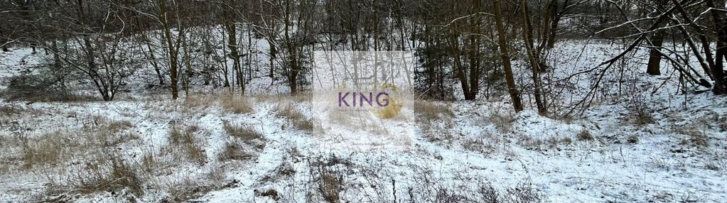 Działka / warunki zabudowy / 1600 m²