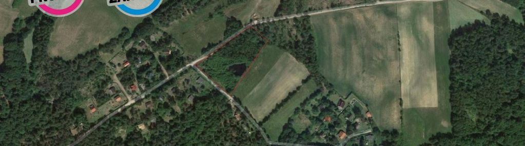 Las i oczko wodne na działce, 300 m od jeziora!