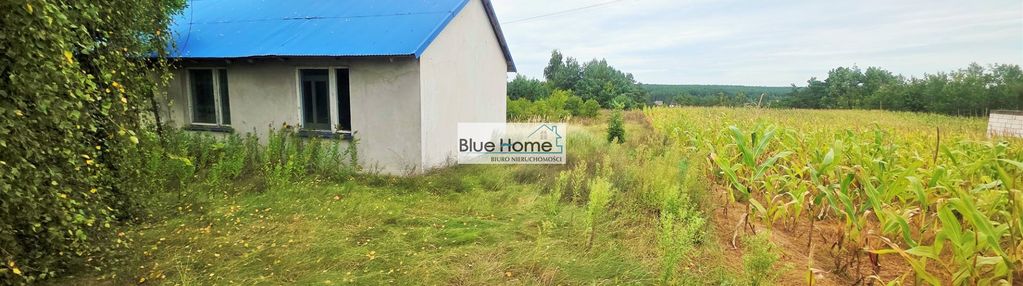 Dom na sprzedaż w pięknej okolicy - ciechocin