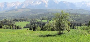 Tatry łapszanka rzepiska działka widokowa 3,06 ha