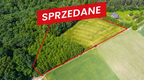 Na sprzedaż: działka 79 arów- domosławice