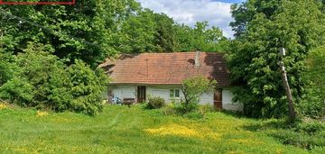 Działka 44ar z drewnianym domem czarny potok