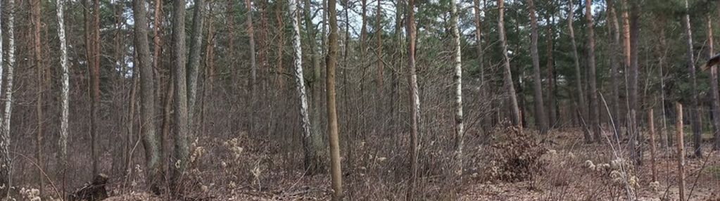 Radość rezydencyjna działka 3050m2 zbójna góra