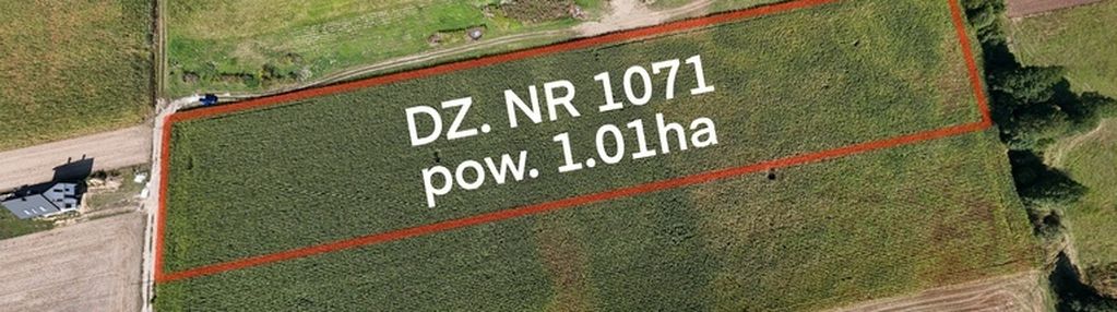 Duża działka z mpzp | 1 ha rębków