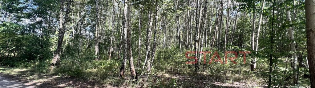 Malownicza działa w otulinie lasu!