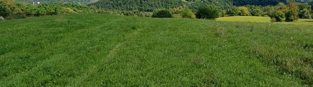 Widokowa działka 35ar w miejscowości łyczanka