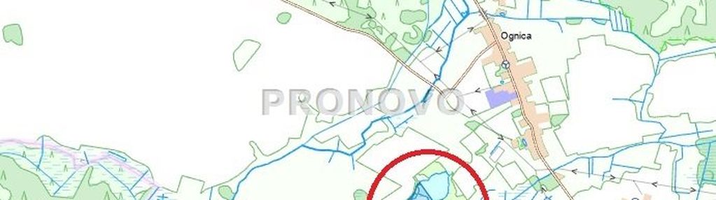 Działka rolna koło dobrzan