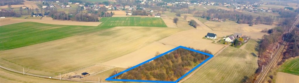 Czernica – przestronna działka w zielonej okolicy