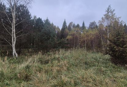 Działka na skraju lasu, 3 min. do jeziora