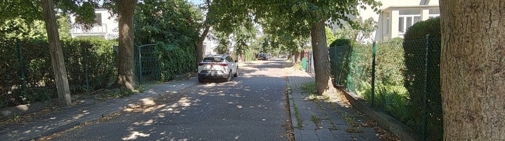 Orłowo, las, dom wolnostojący