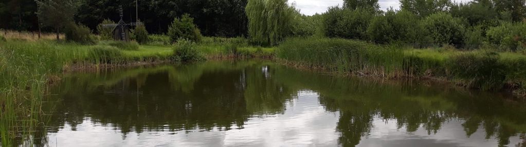 Działka w  malowniczej lokalizacji