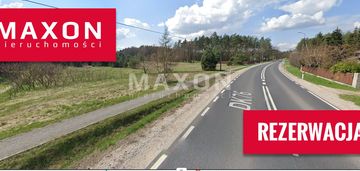 Wilga cyganówka