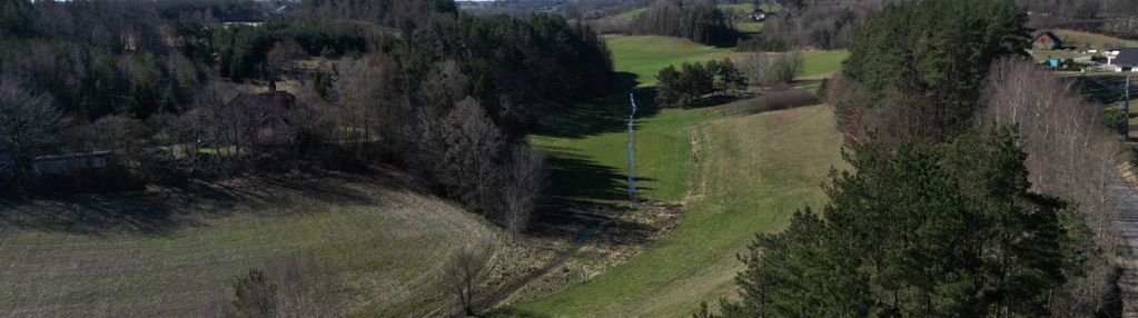 Kaszuby w pigułce