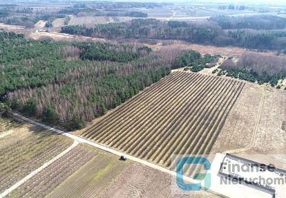 Działka inwestycyjna, żurawia, niższa cena!