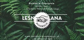 Działka z widokiem na las, obok vilpark