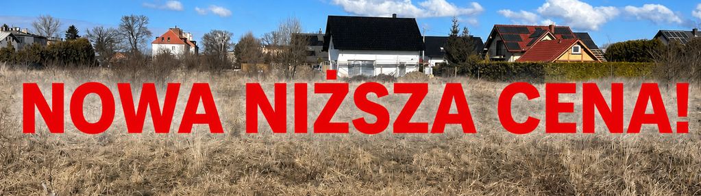 Działka budowlana z potencjałem - cedry wielkie