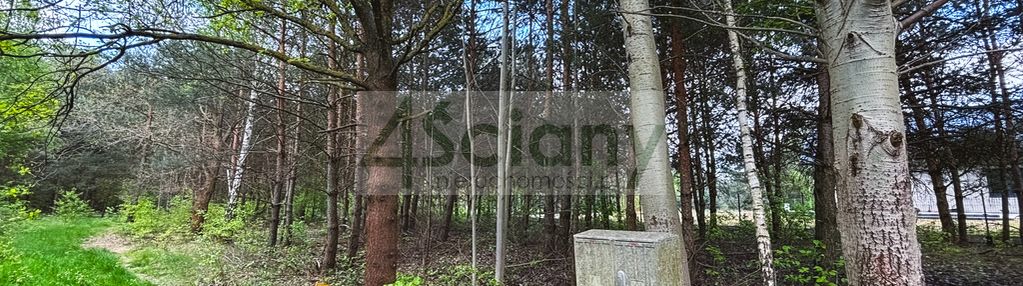 Zadrzewiona działka budowlana przy lesie w zalesiu