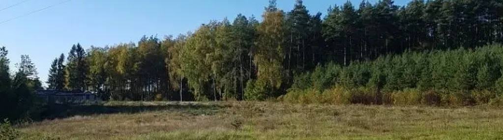 Działka na sprzedaż 1000m2