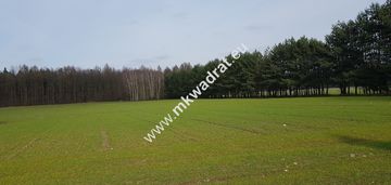 ⭐⭐⭐⭐lux działka w otulinie lasu idealna cisza ⭐⭐⭐⭐