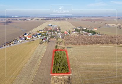 Działka w łowęcinie