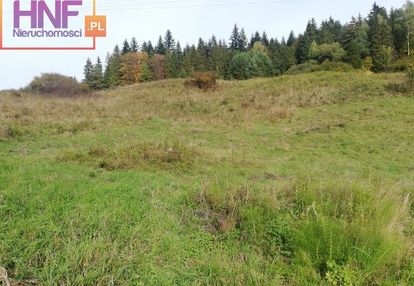 Działka 16ar w miejscowości jastrzębik