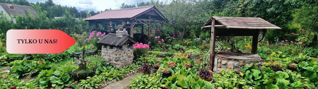 Siedlisko w borach tucholskich przy lesie! staw!